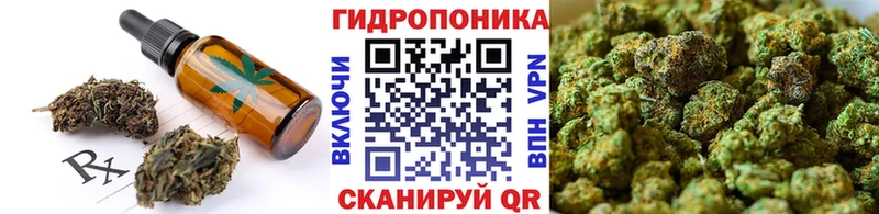 Купить закладки  Мосальск  Cannafood конопля 