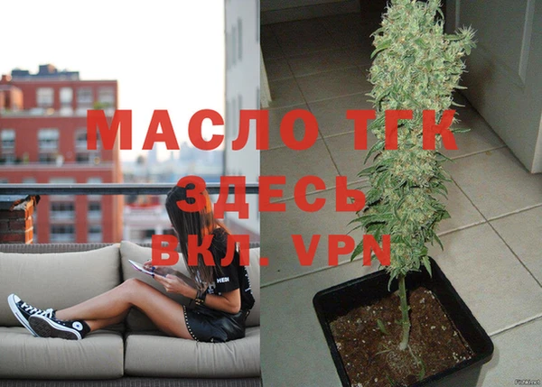 spice Инта