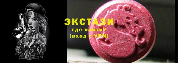 гидра Каменка