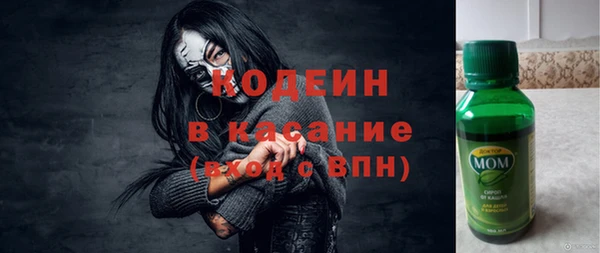 spice Инта