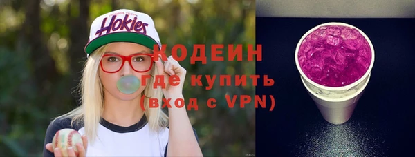 шишки Инсар