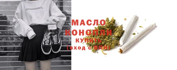 гидра Каменка
