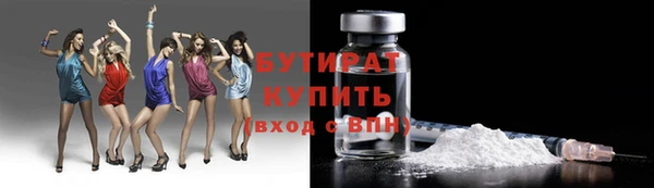 гидра Каменка