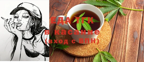 гидра Каменка