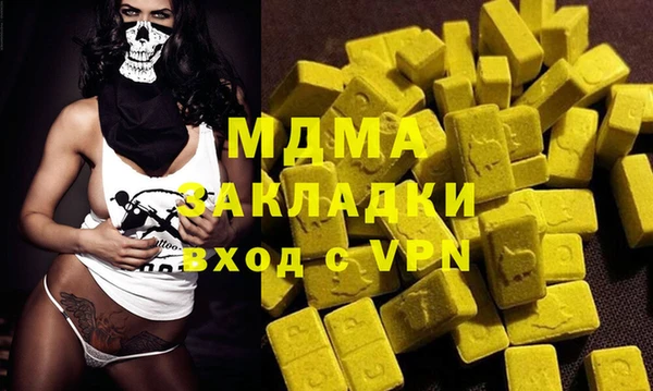 spice Инта