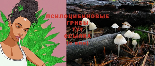 гидра Каменка