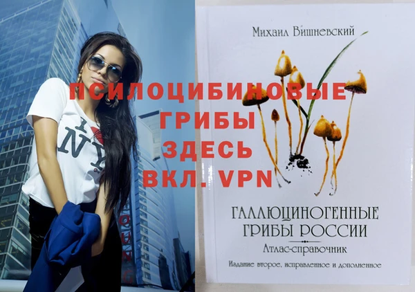 не бодяженный Каменногорск