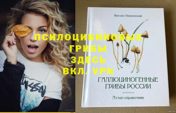 MDMA Каменск-Шахтинский
