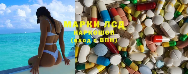 spice Инта