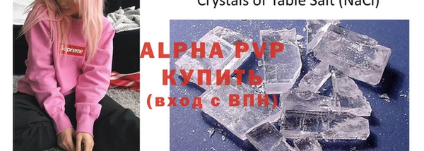 шишки Инсар