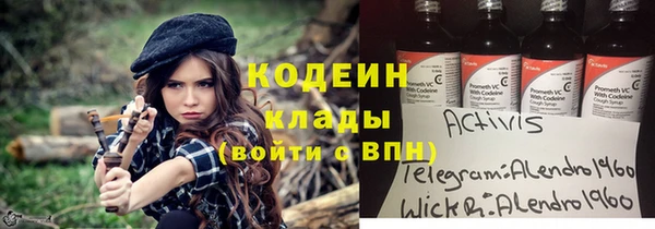 шишки Инсар